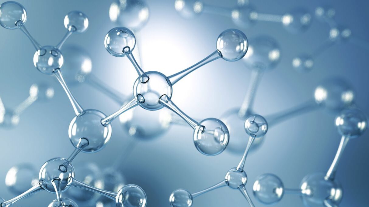 NetEvolution Vicenza Chemipal Chimica