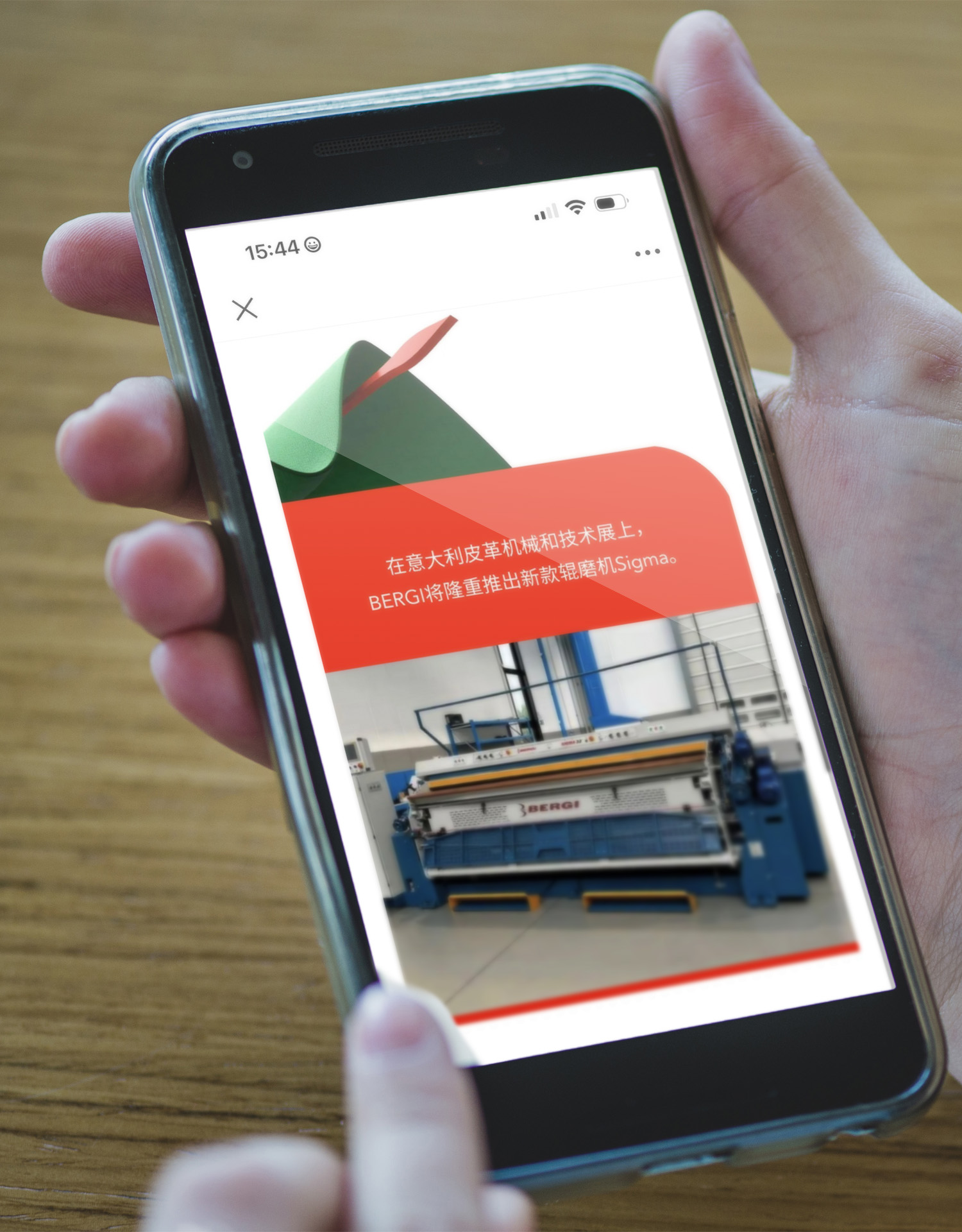 Netevolution-Vicenza-Bergi-China-mockup-telefono