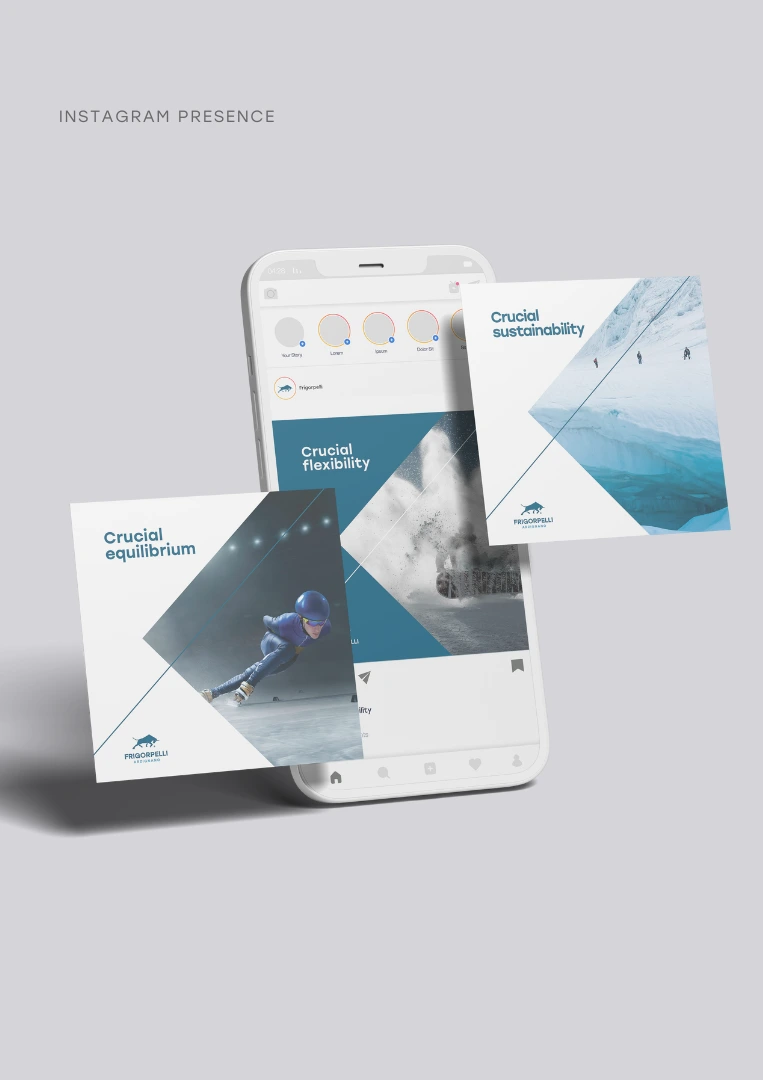 netevolution-vicenza-branding-frigorpelli-social