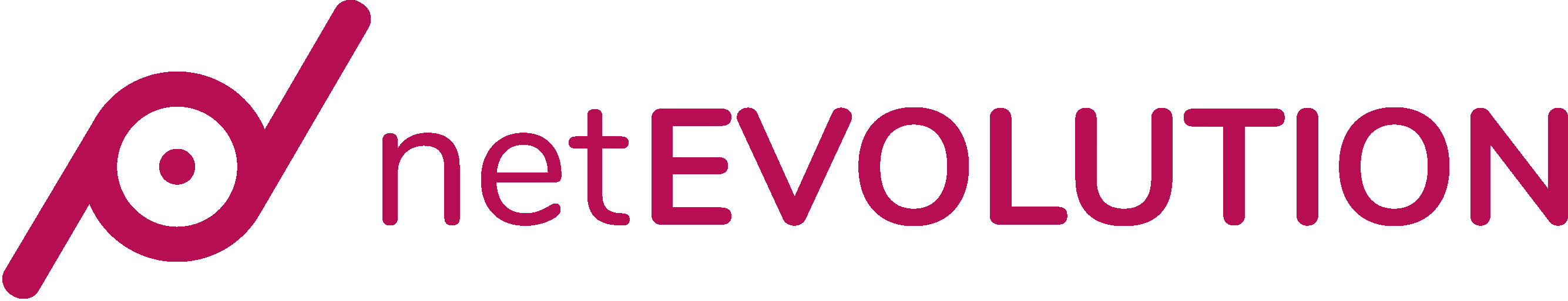 Logo Agenzia di Comunicazione di Vicenza netEVOLUTION