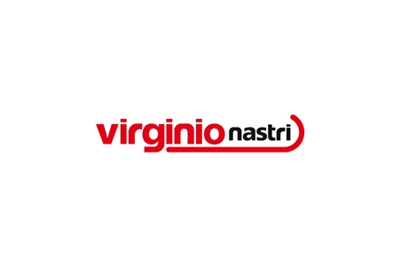 netevolution-vicenza-collaborazioni-virginio-nastri_logo