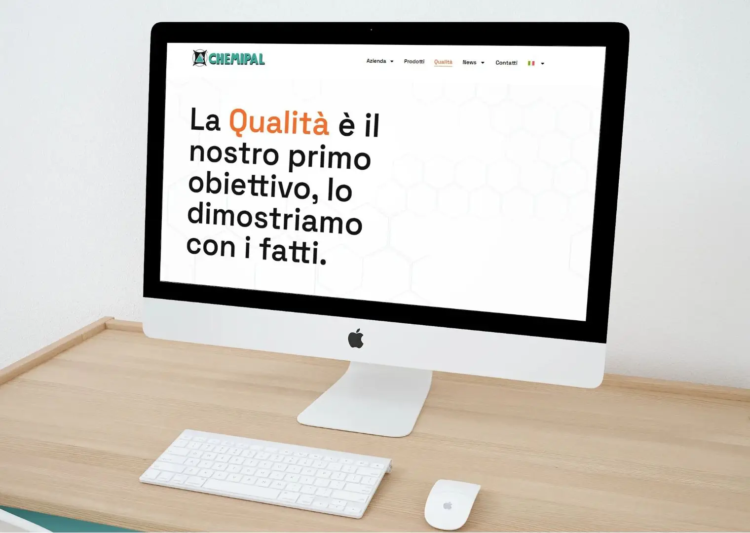 netevolution realizzazione sito web chemipal