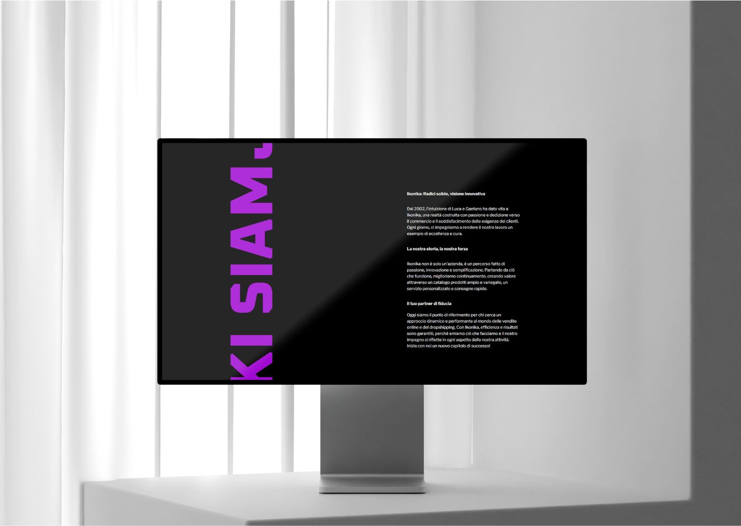 Netevolution Arzignano Sitoweb Ikonika