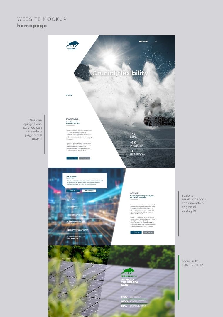 Netevolution Arzignano website webdeveloper frigorpelli