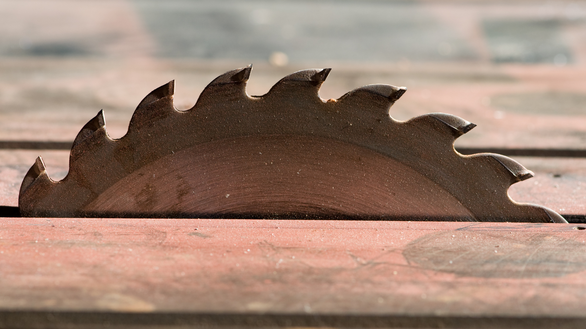 netevolution Arzignano sito Magnabosco