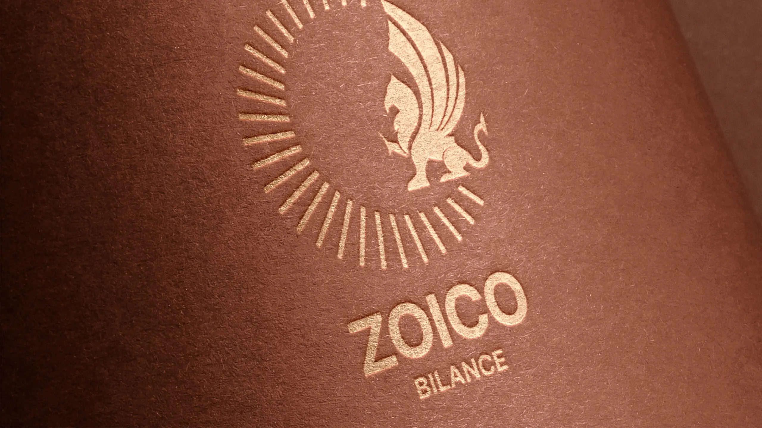 Net-Evolution-branding-Vicenza-Zoico-Bilance-2
