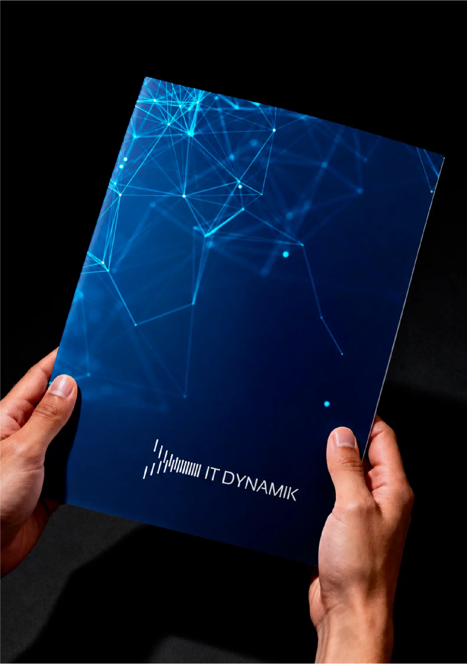 netevolution vicenza sito web branding it dynamik
